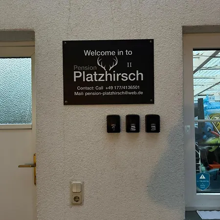 Platzhirsch 2