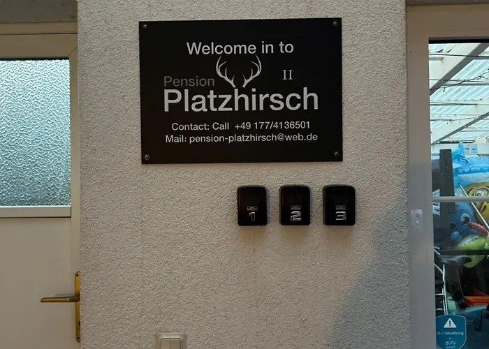 Platzhirsch 2